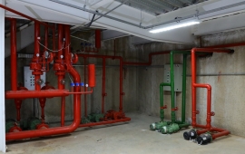 Shopping Gallo Premium