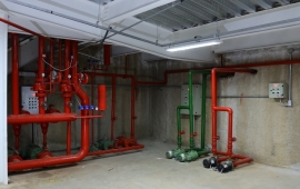 Shopping Gallo Premium